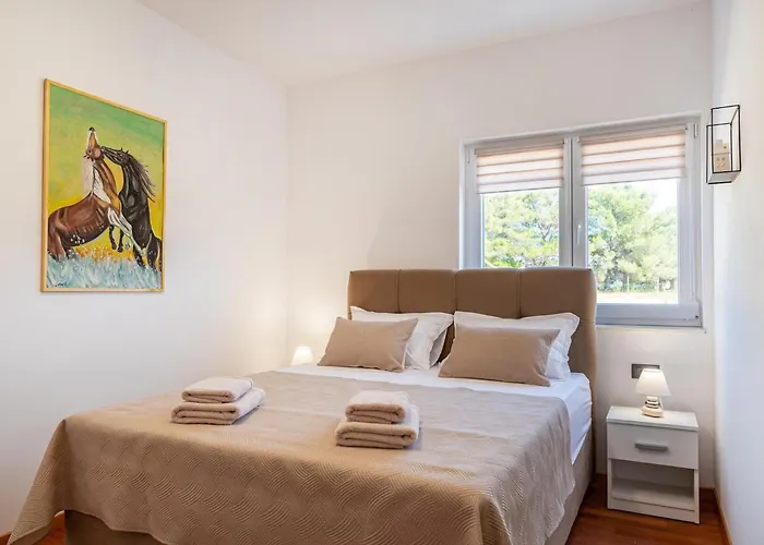 Jani بيت للعطل زادار